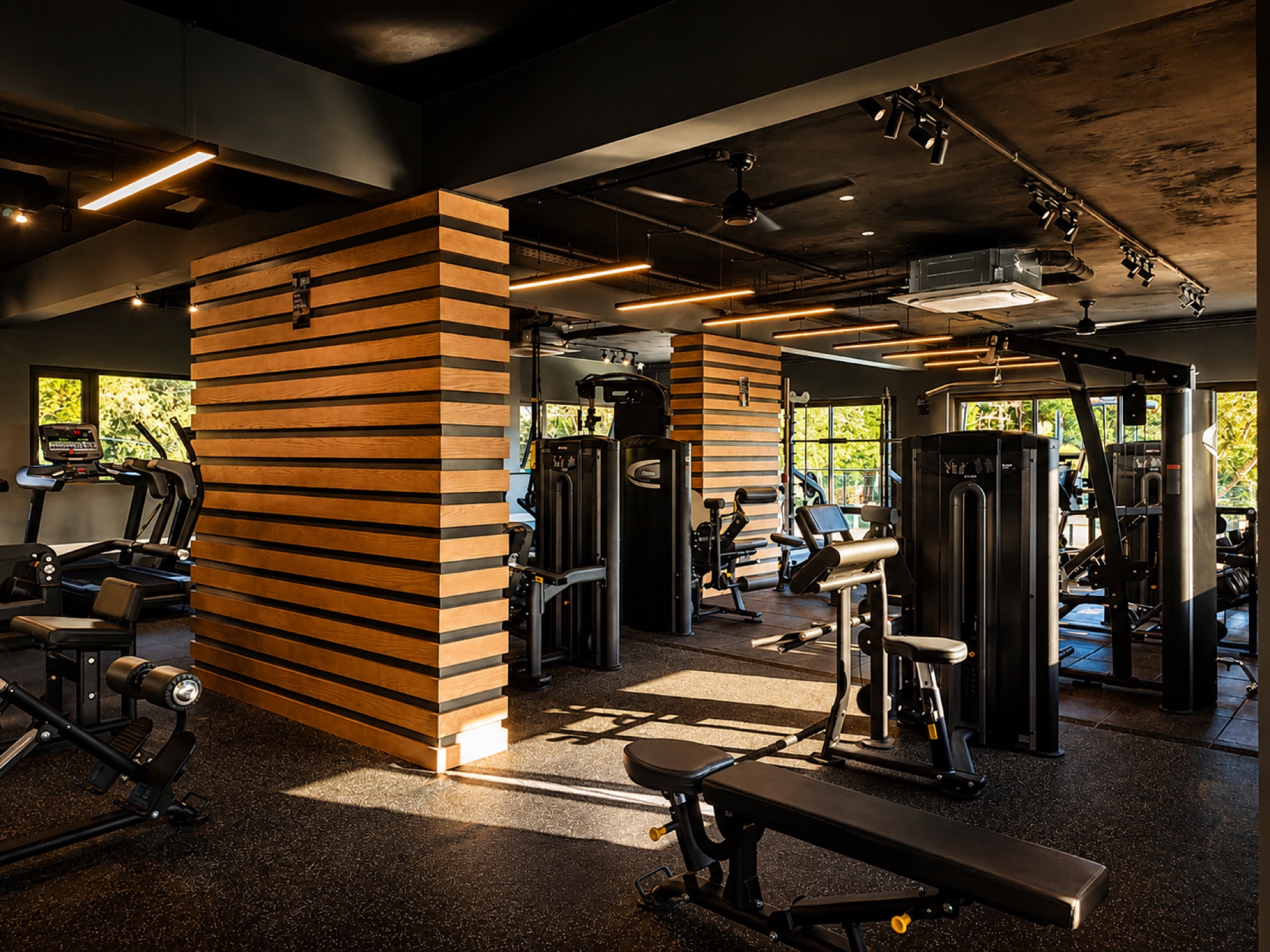 Cardio area