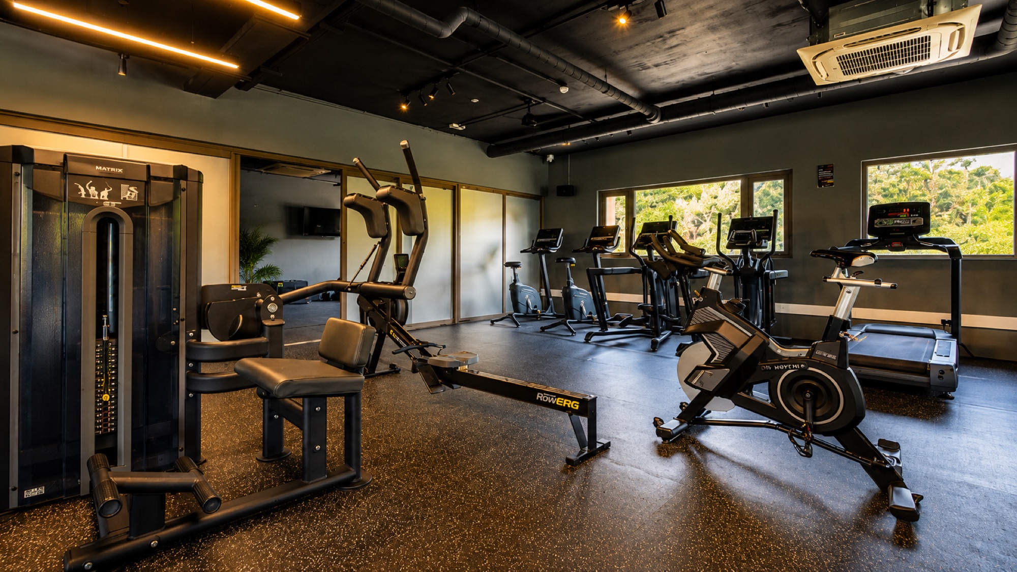The gym